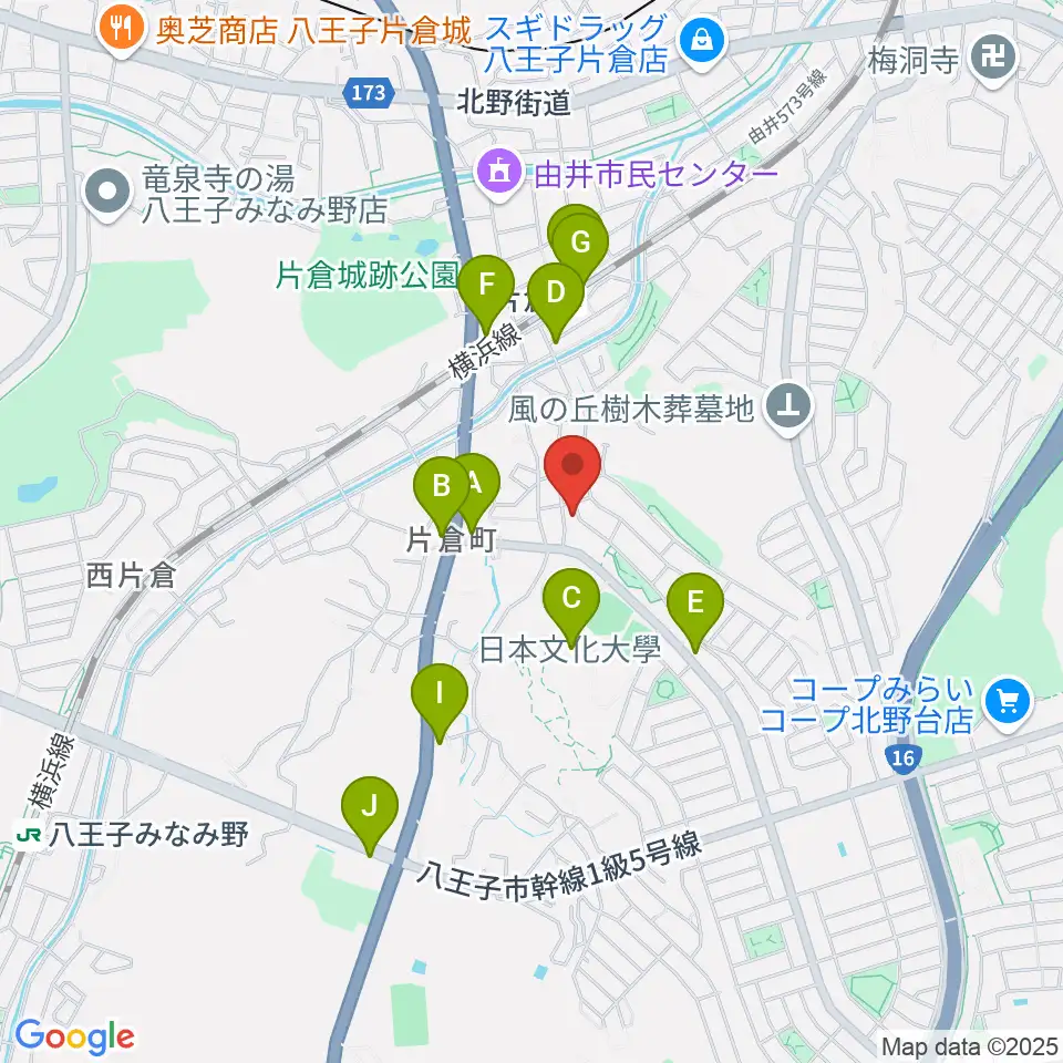ムジークシューレ音楽教室周辺のファミレス・ファーストフード一覧地図