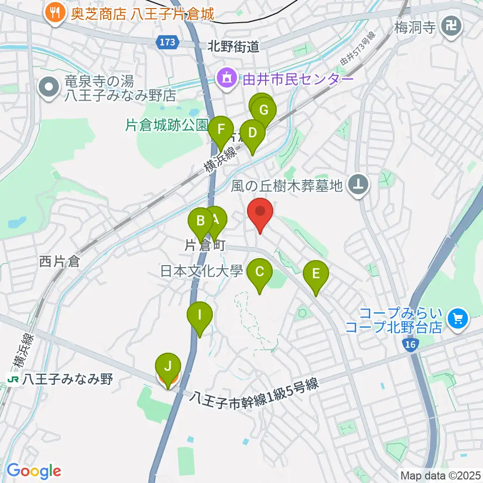 ムジークシューレ音楽教室周辺のファミレス・ファーストフード一覧地図