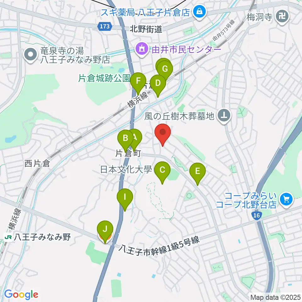 ムジークシューレ音楽教室周辺のファミレス・ファーストフード一覧地図