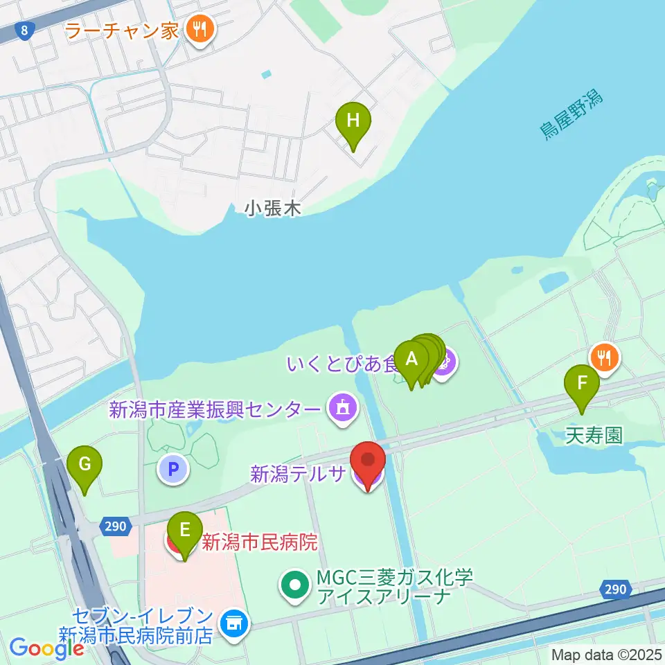 新潟テルサ周辺のファミレス・ファーストフード一覧地図