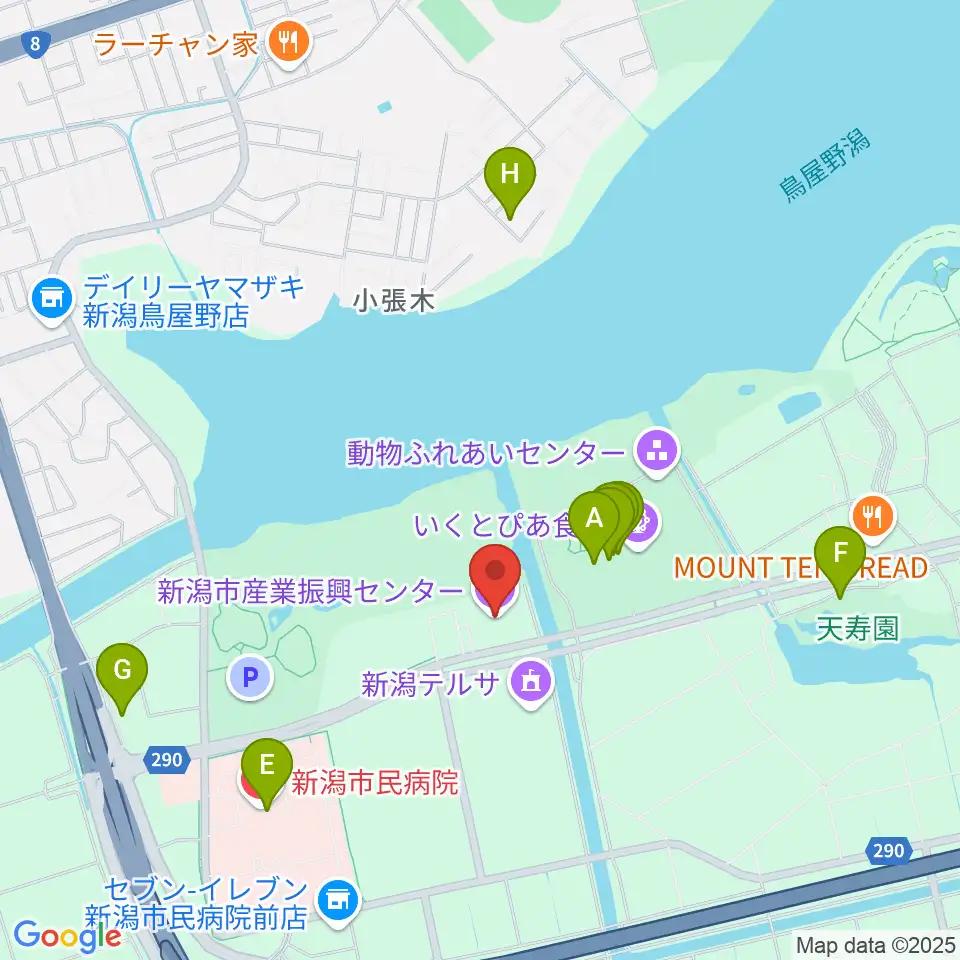 新潟市産業振興センター周辺のファミレス・ファーストフード一覧地図