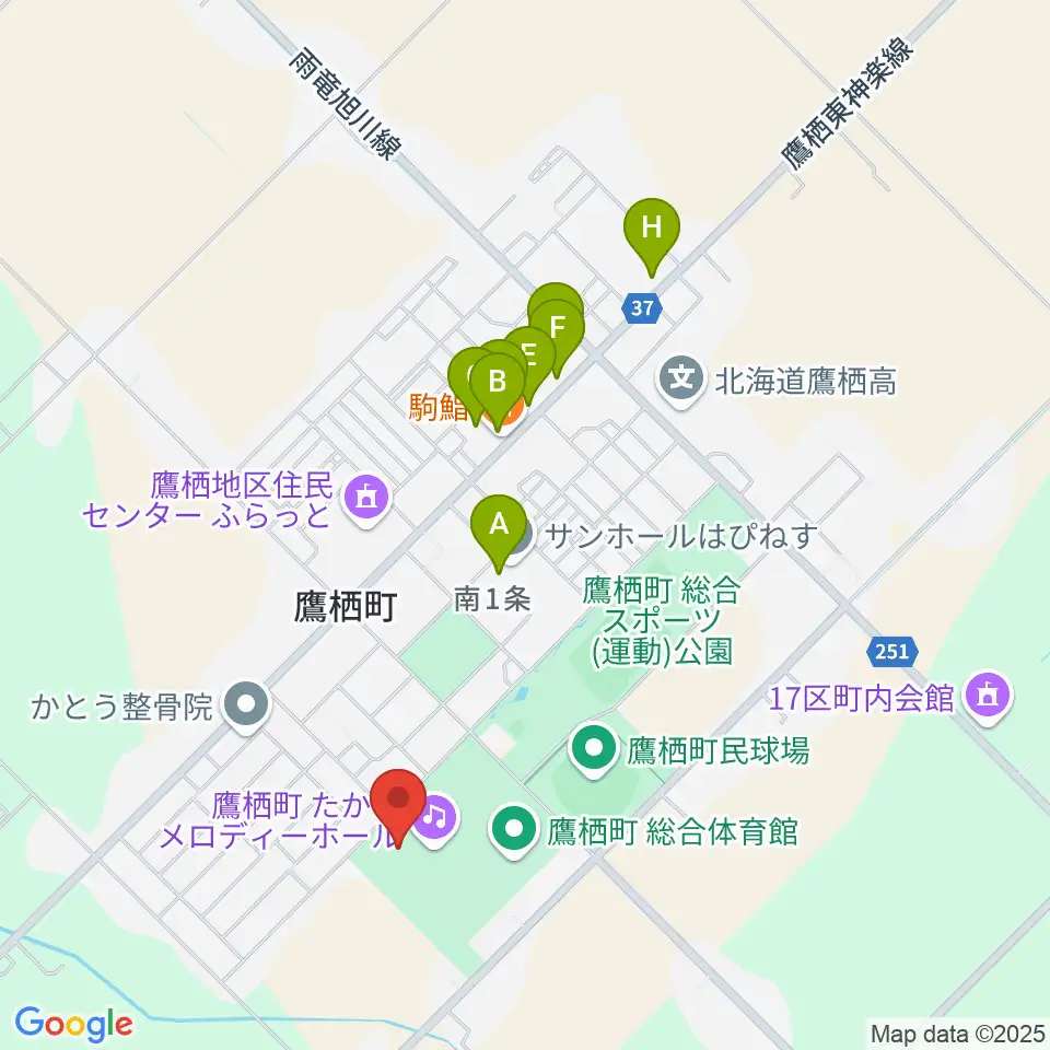 たかすメロディーホール周辺のファミレス・ファーストフード一覧地図