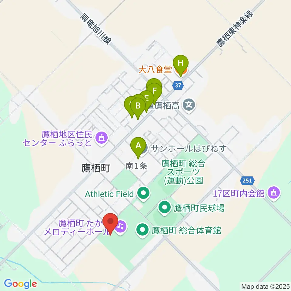 たかすメロディーホール周辺のファミレス・ファーストフード一覧地図
