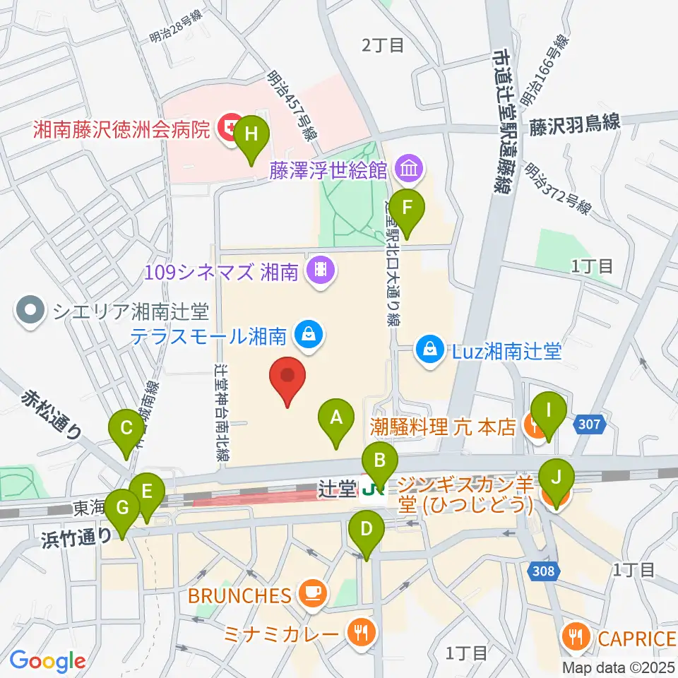山野楽器 辻堂店周辺のコンビニエンスストア一覧地図