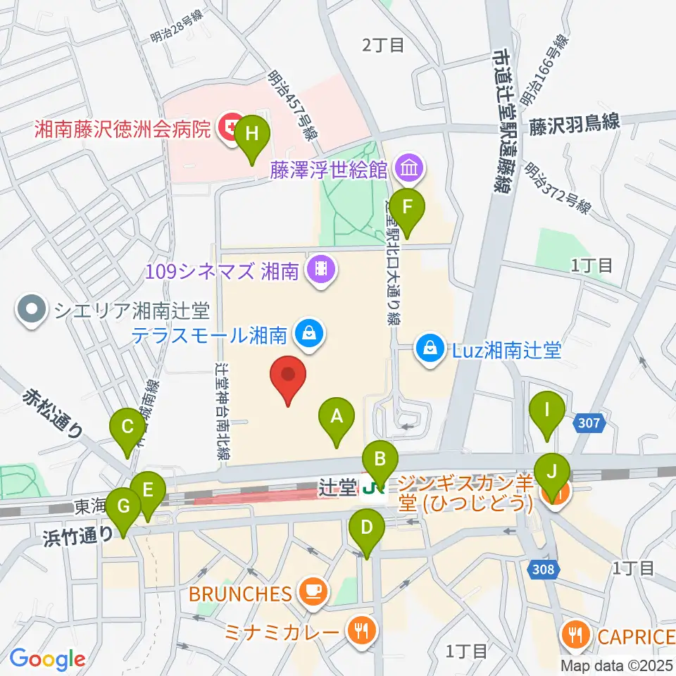 山野楽器 辻堂店周辺のコンビニエンスストア一覧地図
