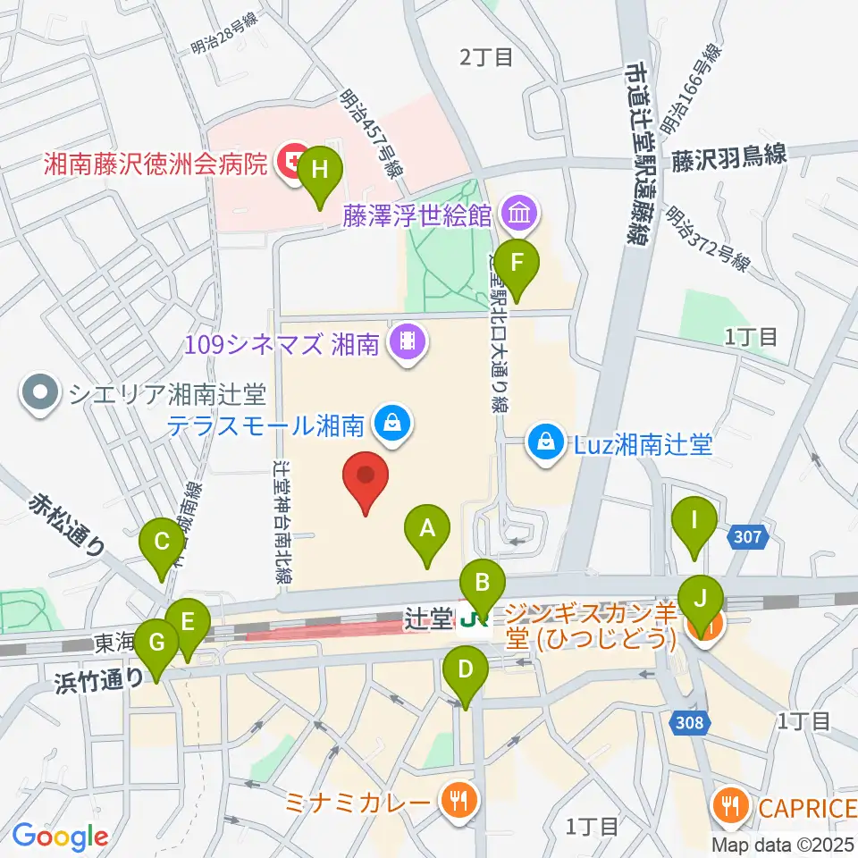 山野楽器 辻堂店周辺のコンビニエンスストア一覧地図