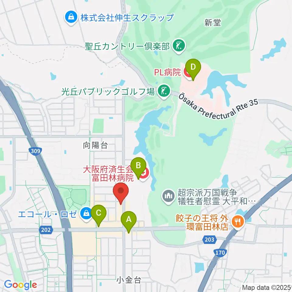 天理楽器 富田林店周辺のコンビニエンスストア一覧地図