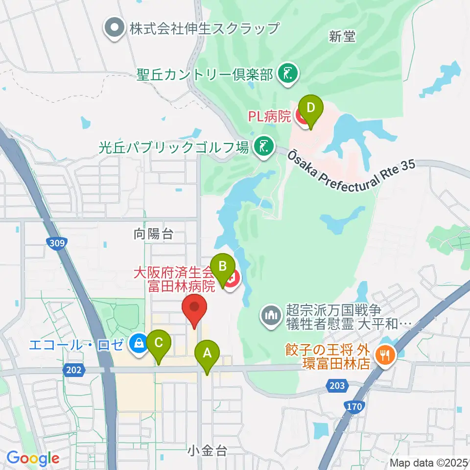 天理楽器 富田林店周辺のコンビニエンスストア一覧地図