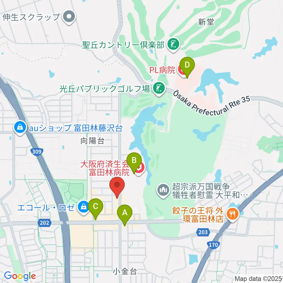 天理楽器 富田林店周辺のコンビニエンスストア一覧地図