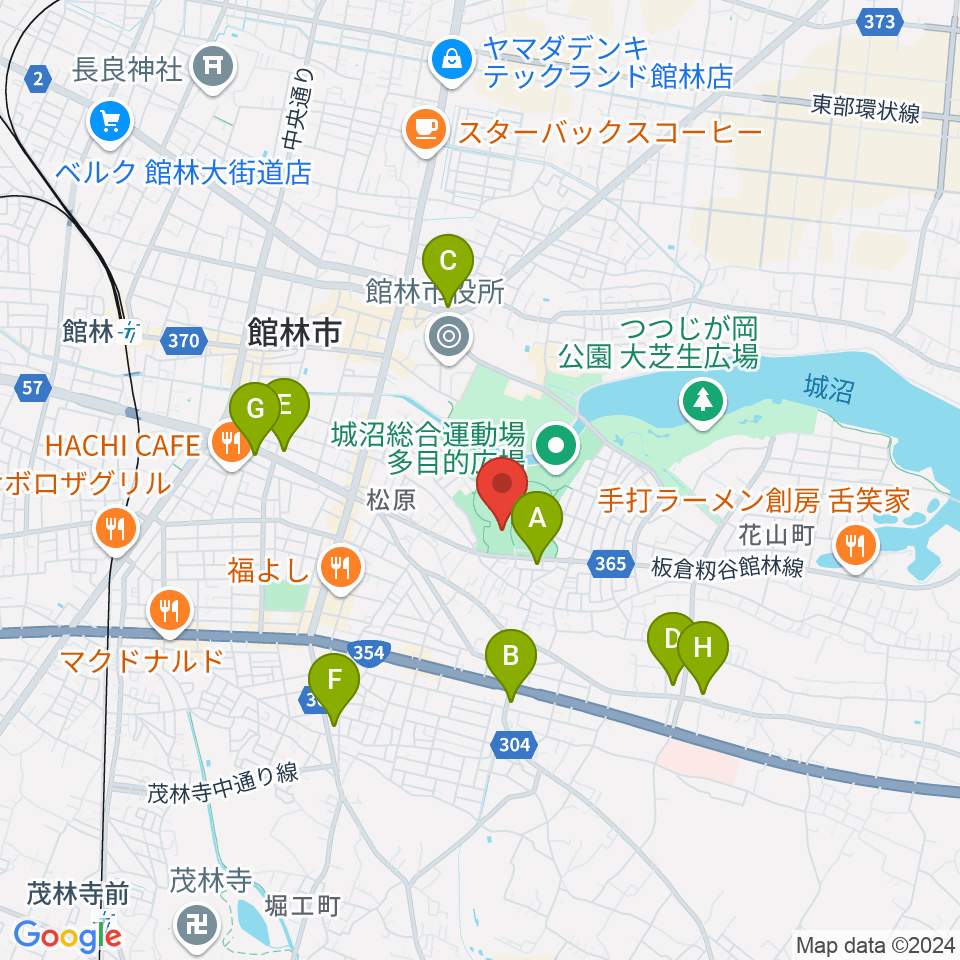 ダノン城沼アリーナ周辺のコンビニエンスストア一覧地図