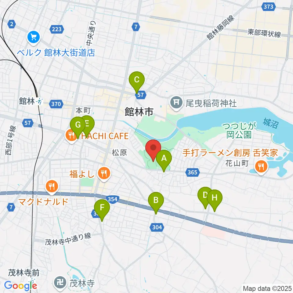 ダノン城沼アリーナ周辺のコンビニエンスストア一覧地図