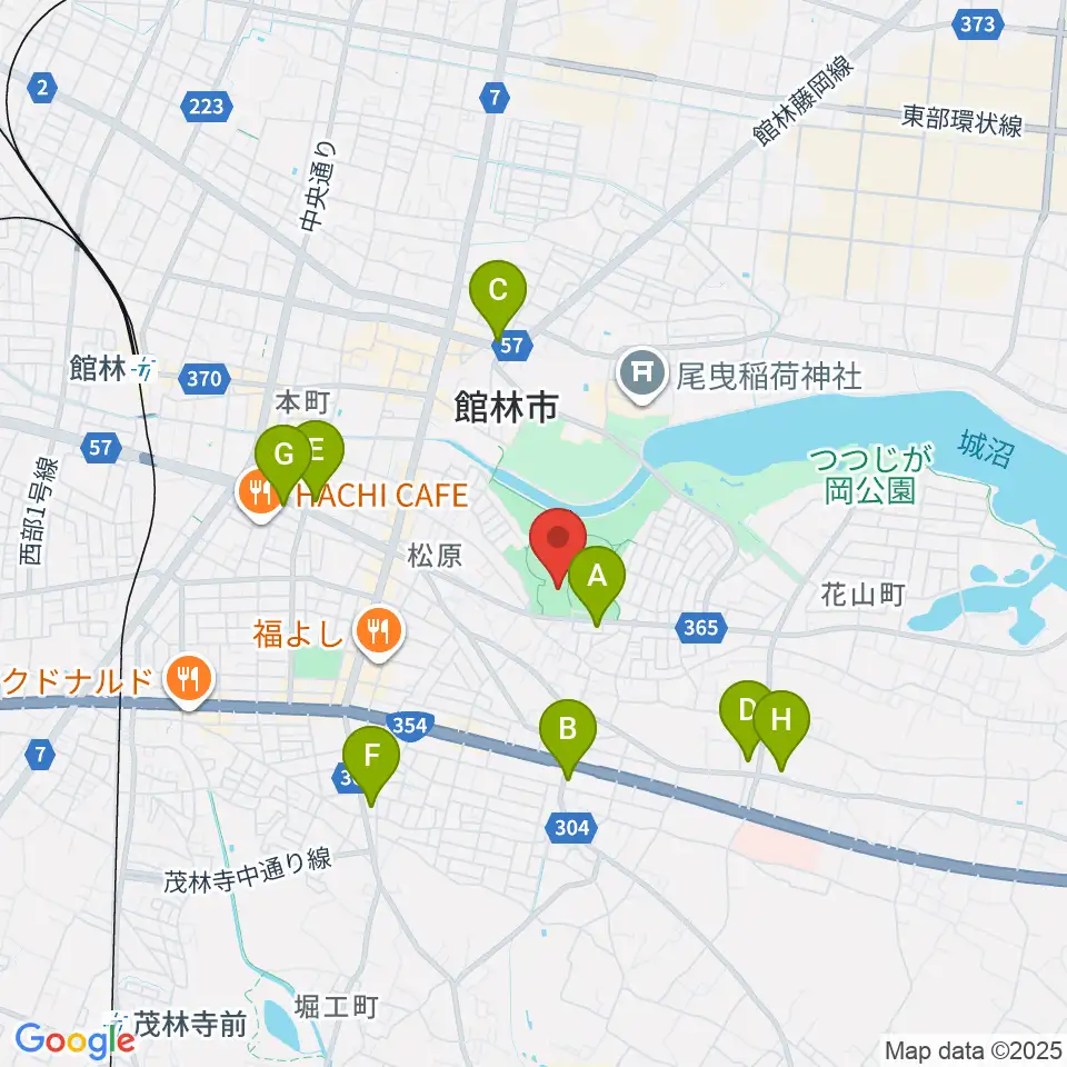 ダノン城沼アリーナ周辺のコンビニエンスストア一覧地図