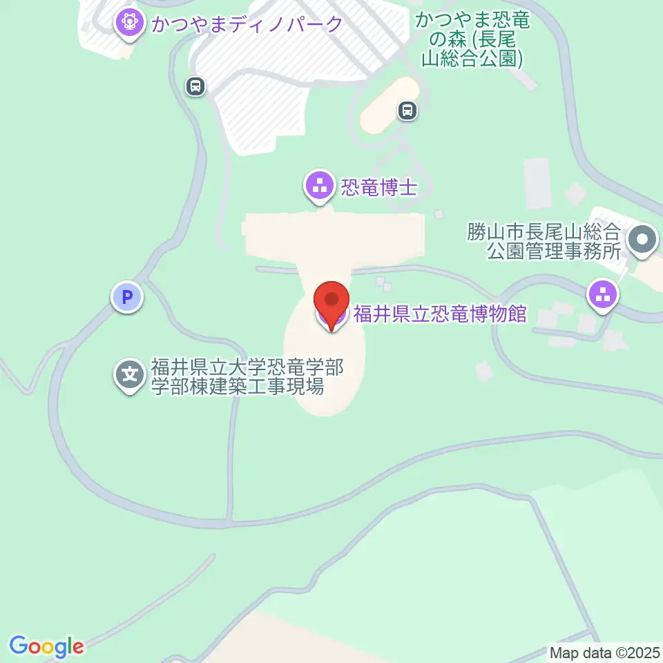 福井県立恐竜博物館周辺のコンビニエンスストア一覧地図