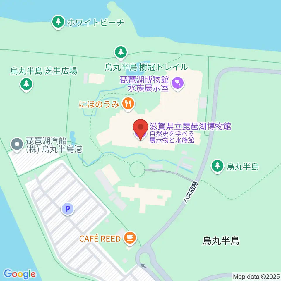 滋賀県立琵琶湖博物館周辺のコンビニエンスストア一覧地図