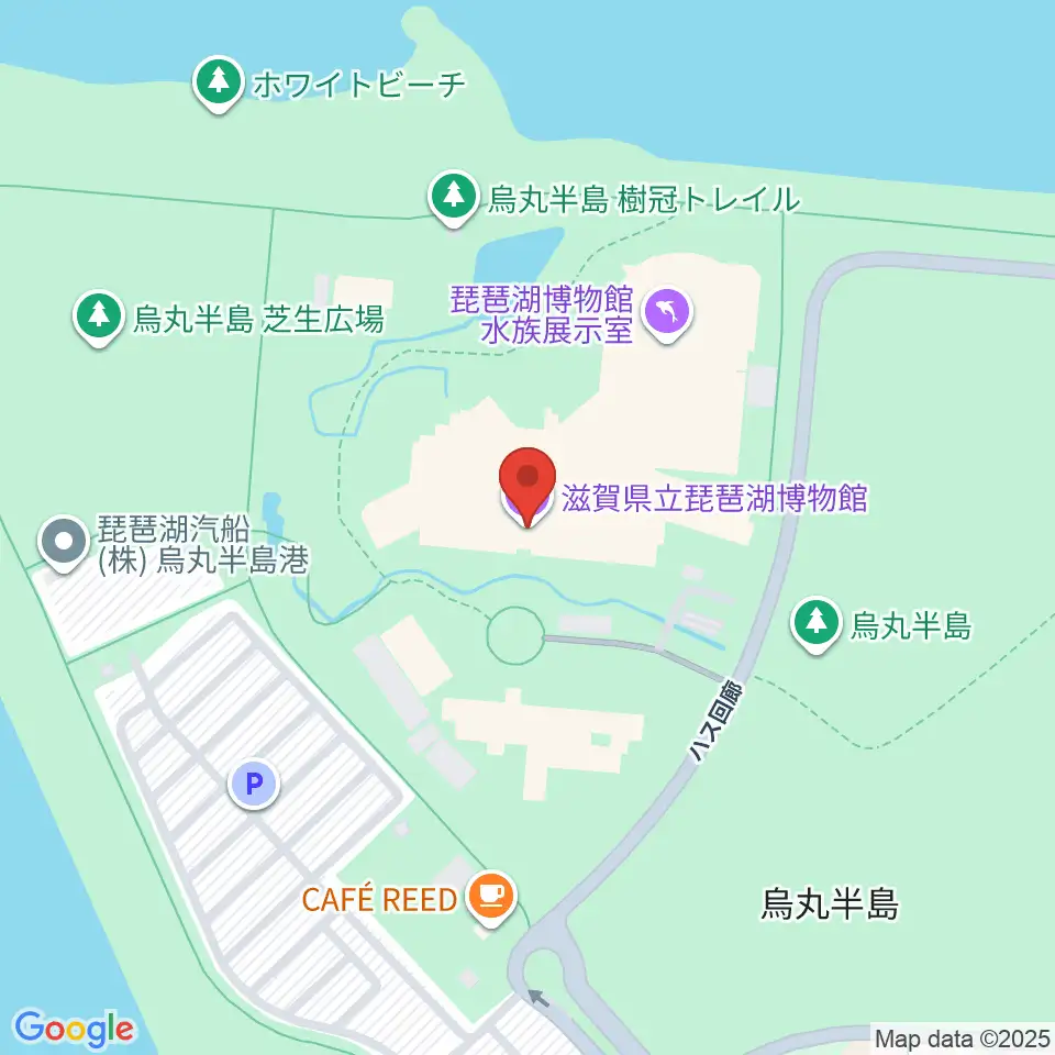 滋賀県立琵琶湖博物館周辺のコンビニエンスストア一覧地図