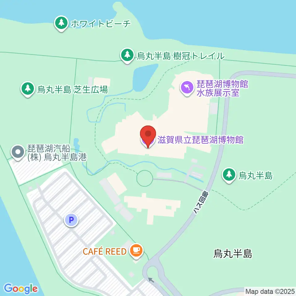 滋賀県立琵琶湖博物館周辺のコンビニエンスストア一覧地図