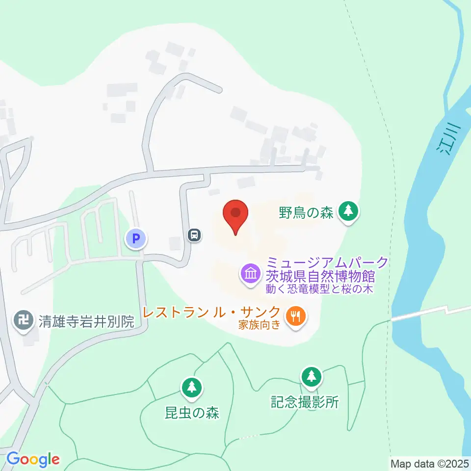 ミュージアムパーク茨城県自然博物館周辺のコンビニエンスストア一覧地図