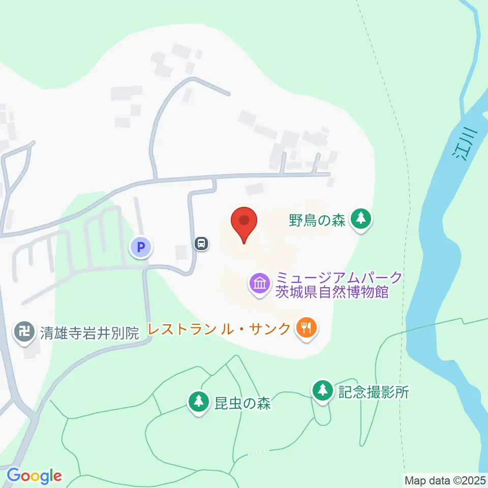 ミュージアムパーク茨城県自然博物館周辺のコンビニエンスストア一覧地図