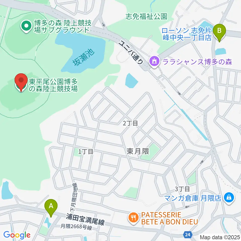 東平尾公園博多の森陸上競技場周辺のコンビニエンスストア一覧地図