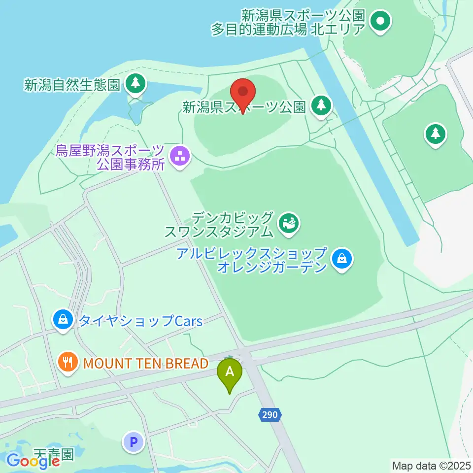デンカスワンフィールド周辺のコンビニエンスストア一覧地図
