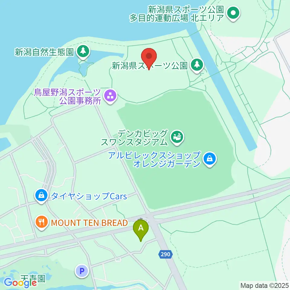 デンカスワンフィールド周辺のコンビニエンスストア一覧地図