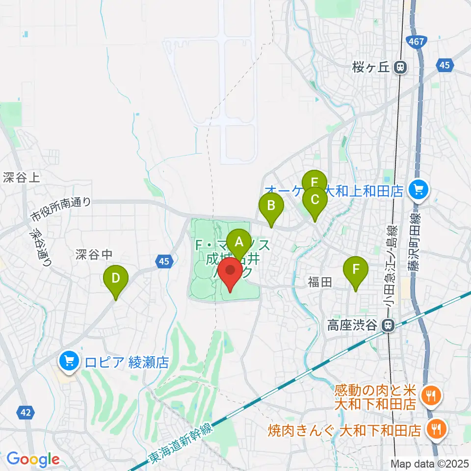 F・マリノス 成城石井パーク多目的スポーツ広場周辺のコンビニエンスストア一覧地図