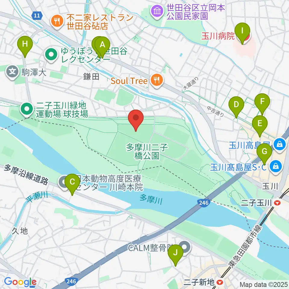 二子玉川緑地野球場周辺のコンビニエンスストア一覧地図
