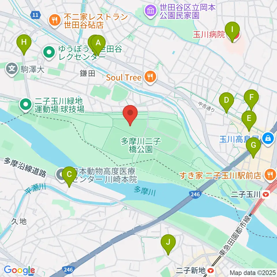 二子玉川緑地野球場周辺のコンビニエンスストア一覧地図