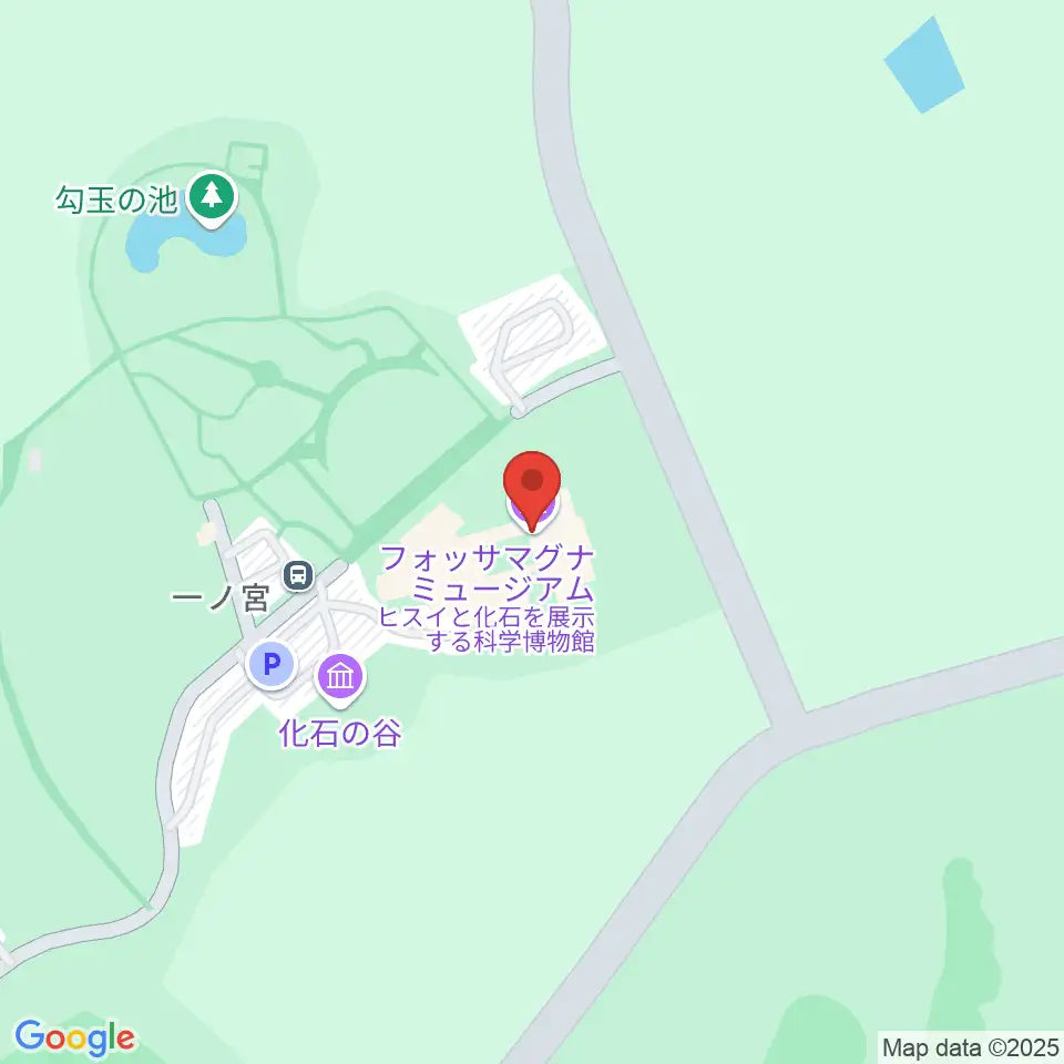 フォッサマグナミュージアム周辺のコンビニエンスストア一覧地図