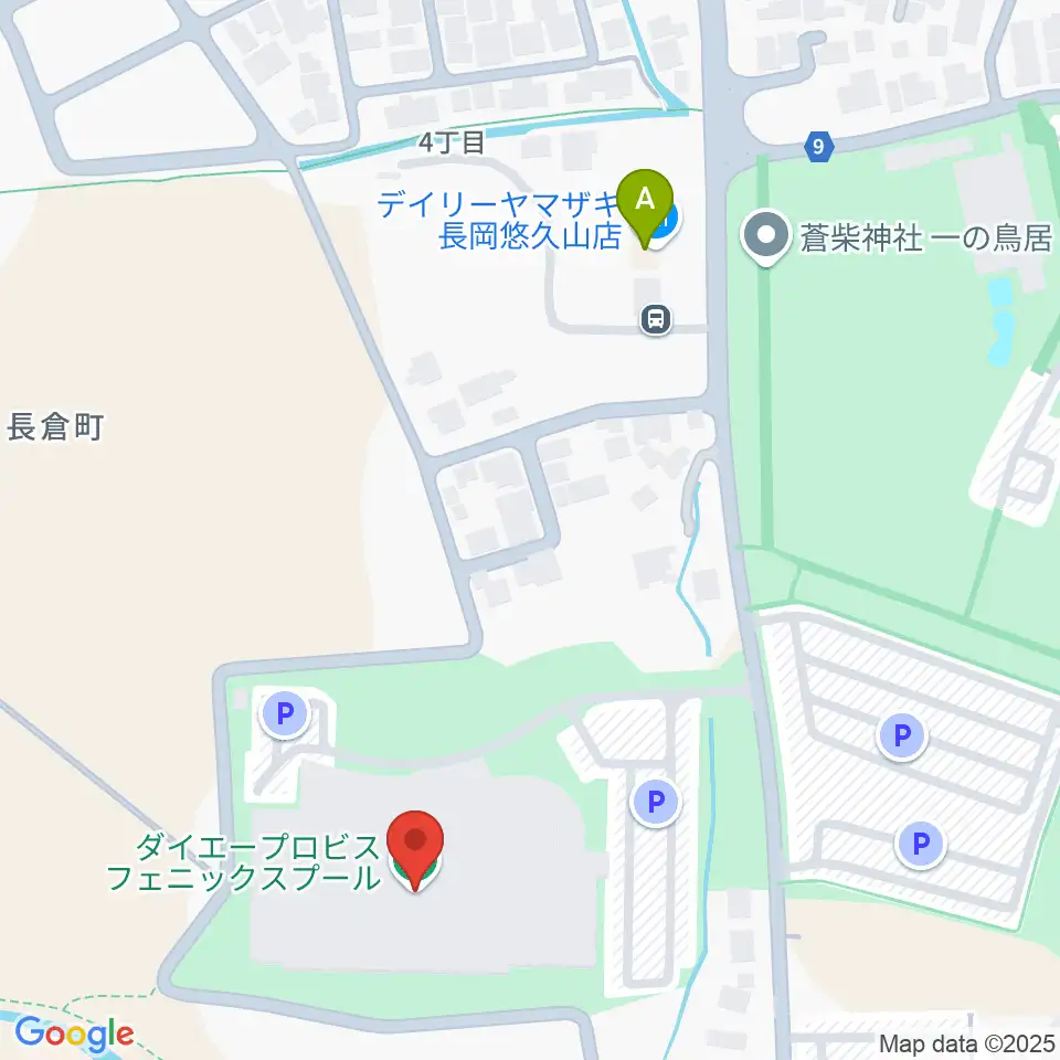 ダイエープロビスフェニックスプール周辺のコンビニエンスストア一覧地図