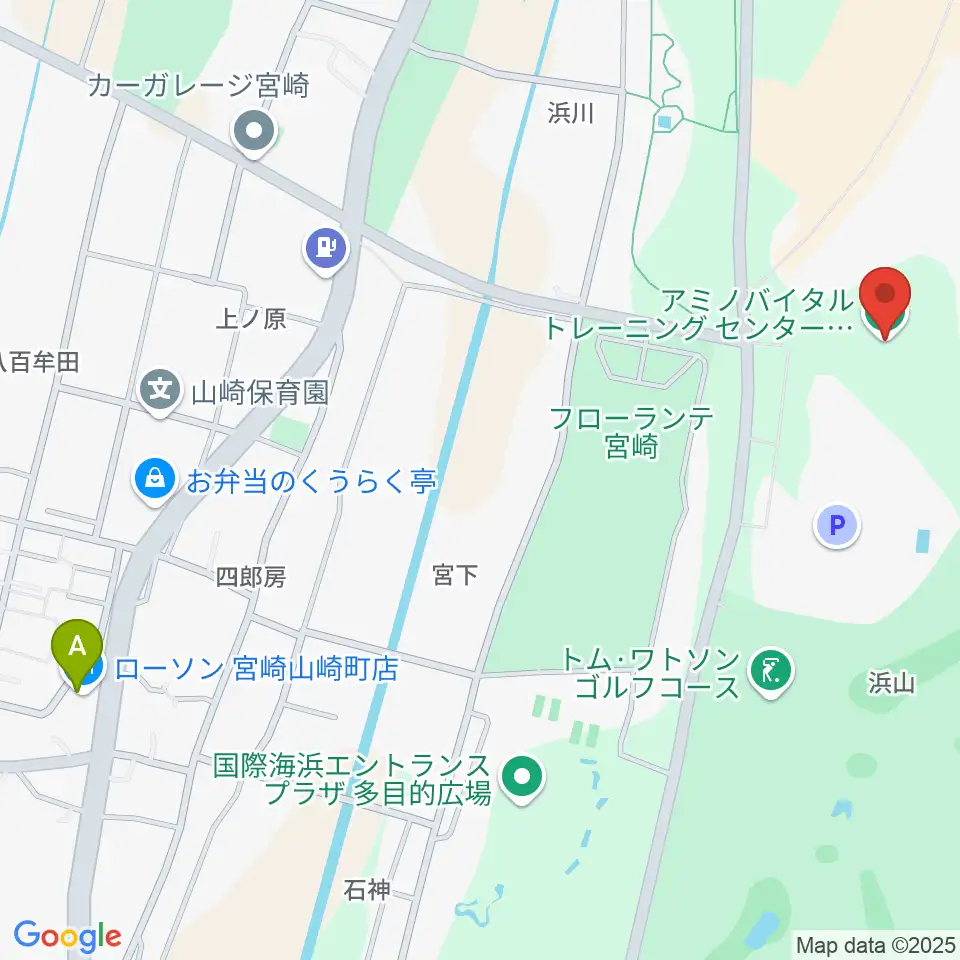 アミノバイタルトレーニングセンター宮崎周辺のコンビニエンスストア一覧地図