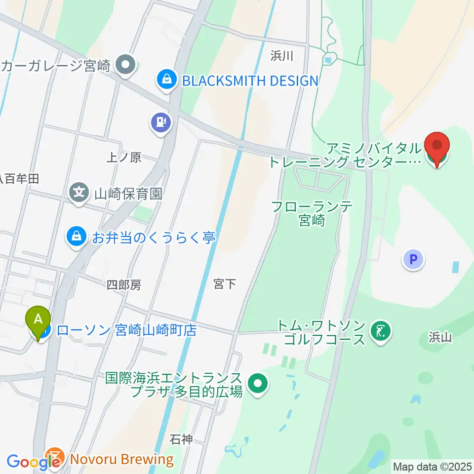 アミノバイタルトレーニングセンター宮崎周辺のコンビニエンスストア一覧地図