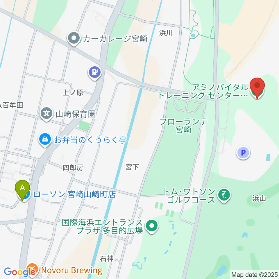 アミノバイタルトレーニングセンター宮崎周辺のコンビニエンスストア一覧地図