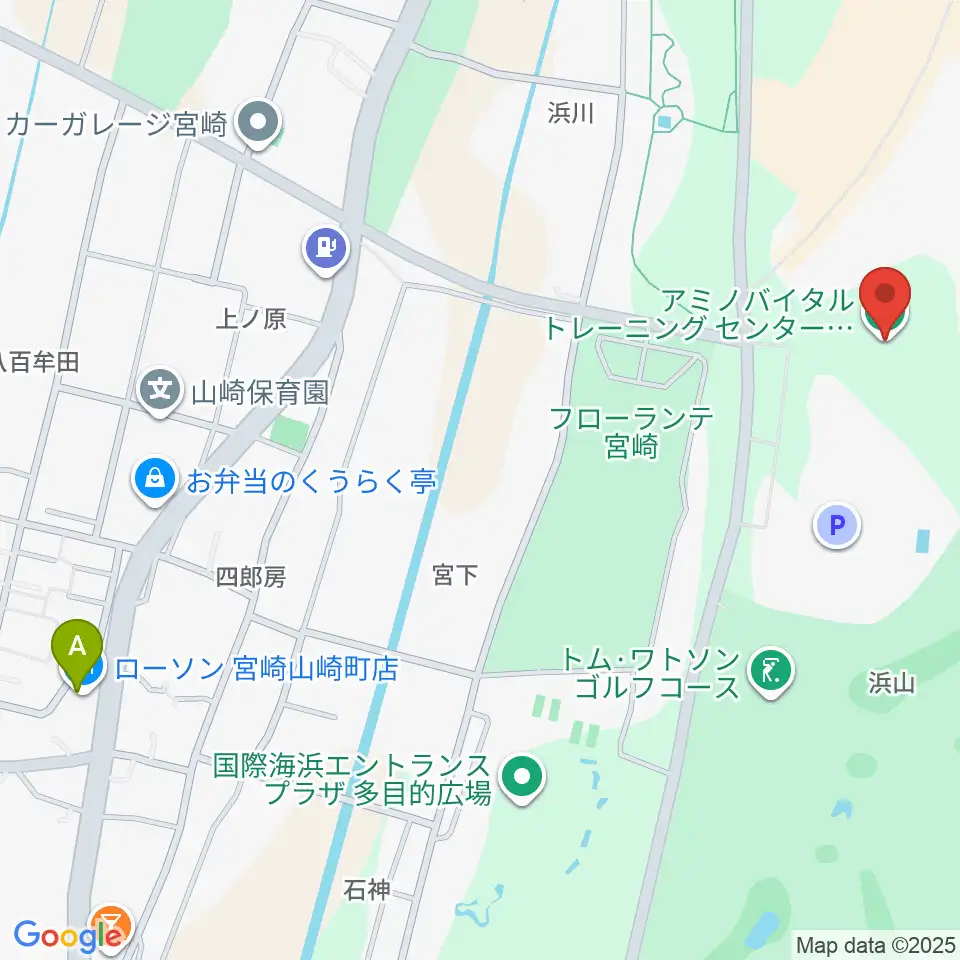 アミノバイタルトレーニングセンター宮崎周辺のコンビニエンスストア一覧地図