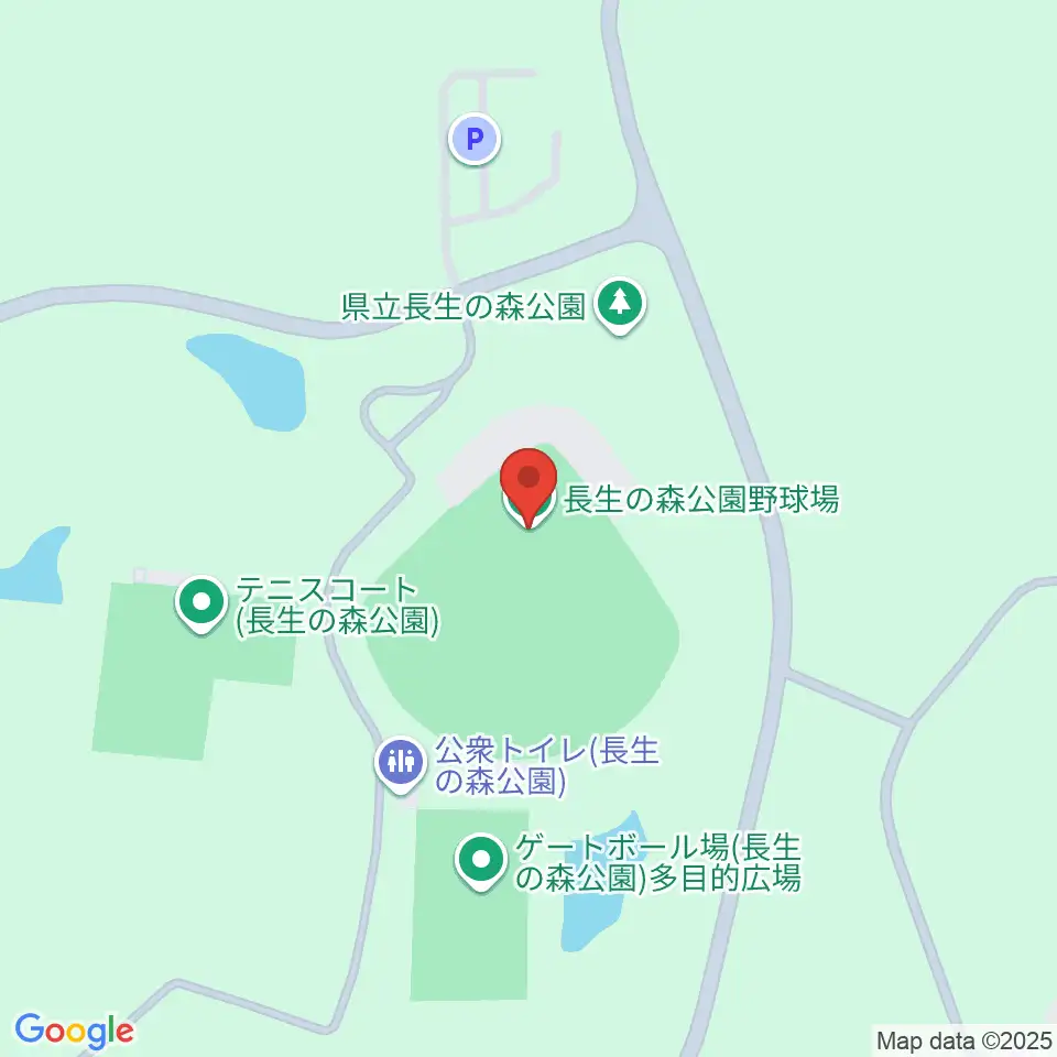 長生の森公園野球場周辺のコンビニエンスストア一覧地図