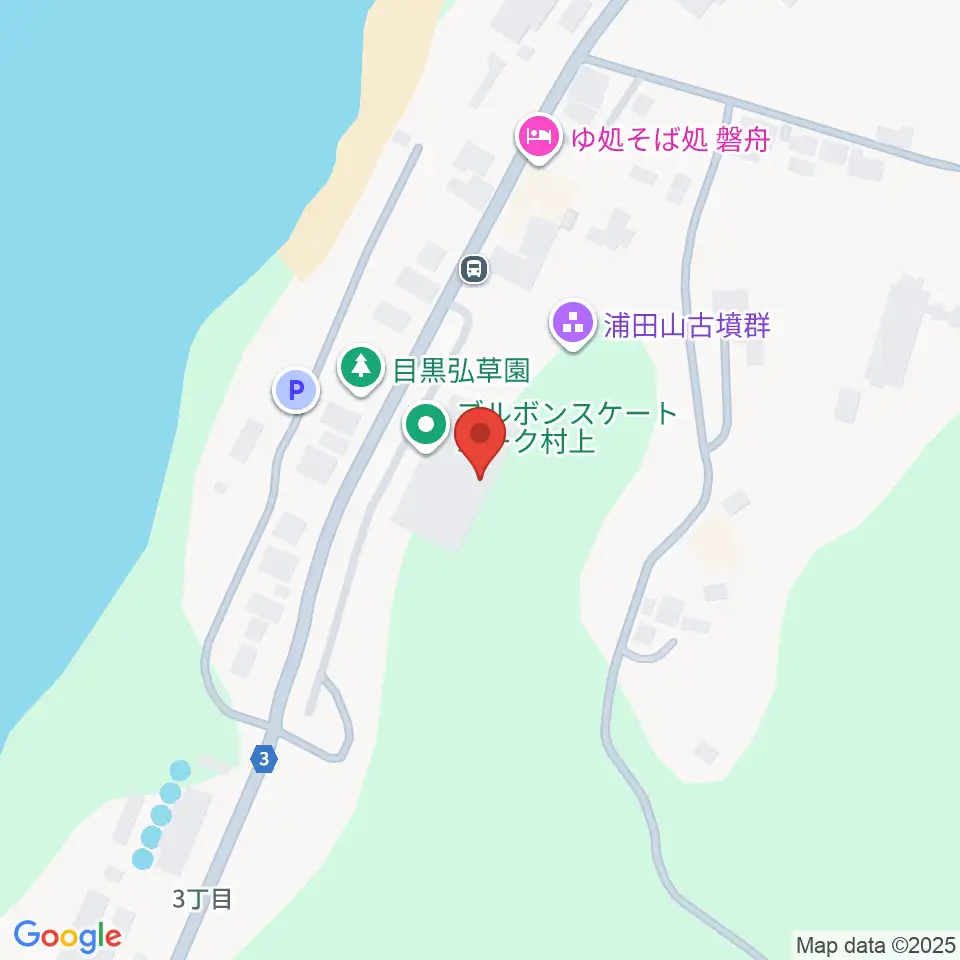 ブルボンスケートパーク村上周辺のコンビニエンスストア一覧地図