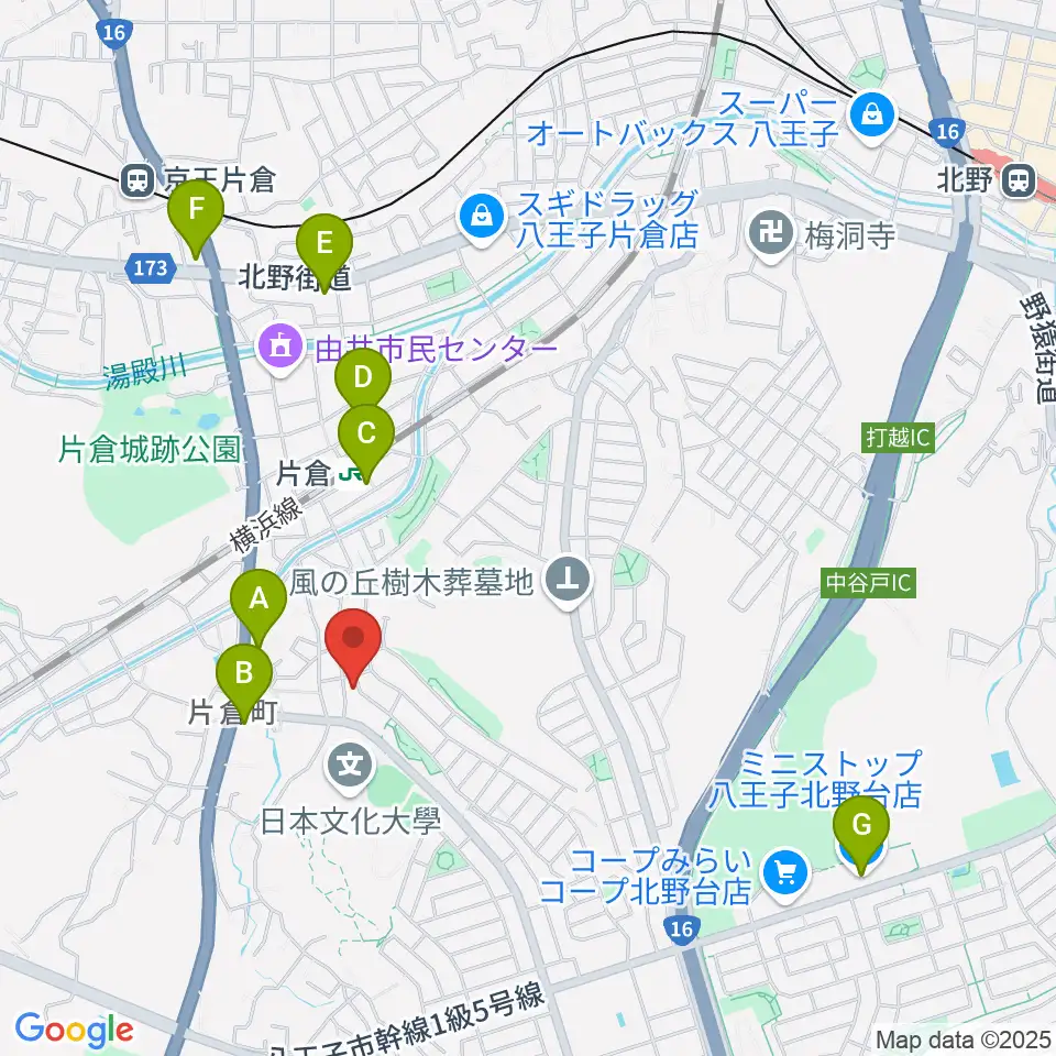 ムジークシューレ音楽教室周辺のコンビニエンスストア一覧地図