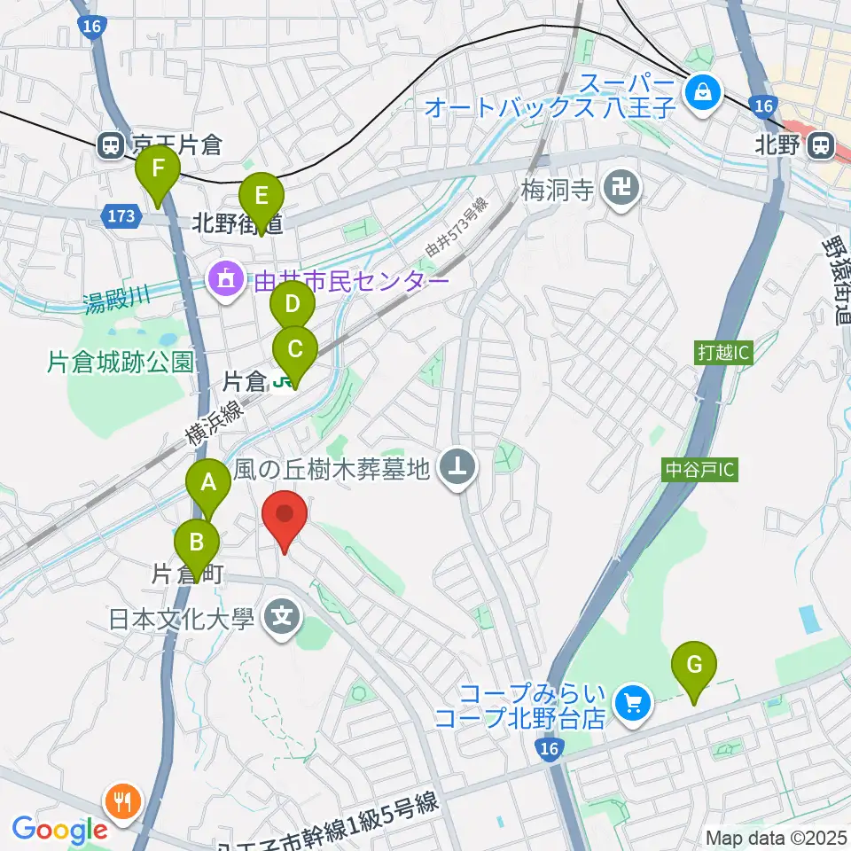 ムジークシューレ音楽教室周辺のコンビニエンスストア一覧地図