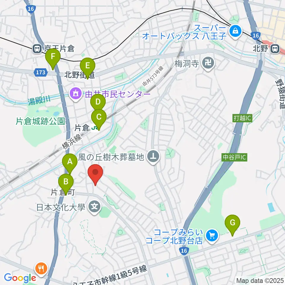 ムジークシューレ音楽教室周辺のコンビニエンスストア一覧地図