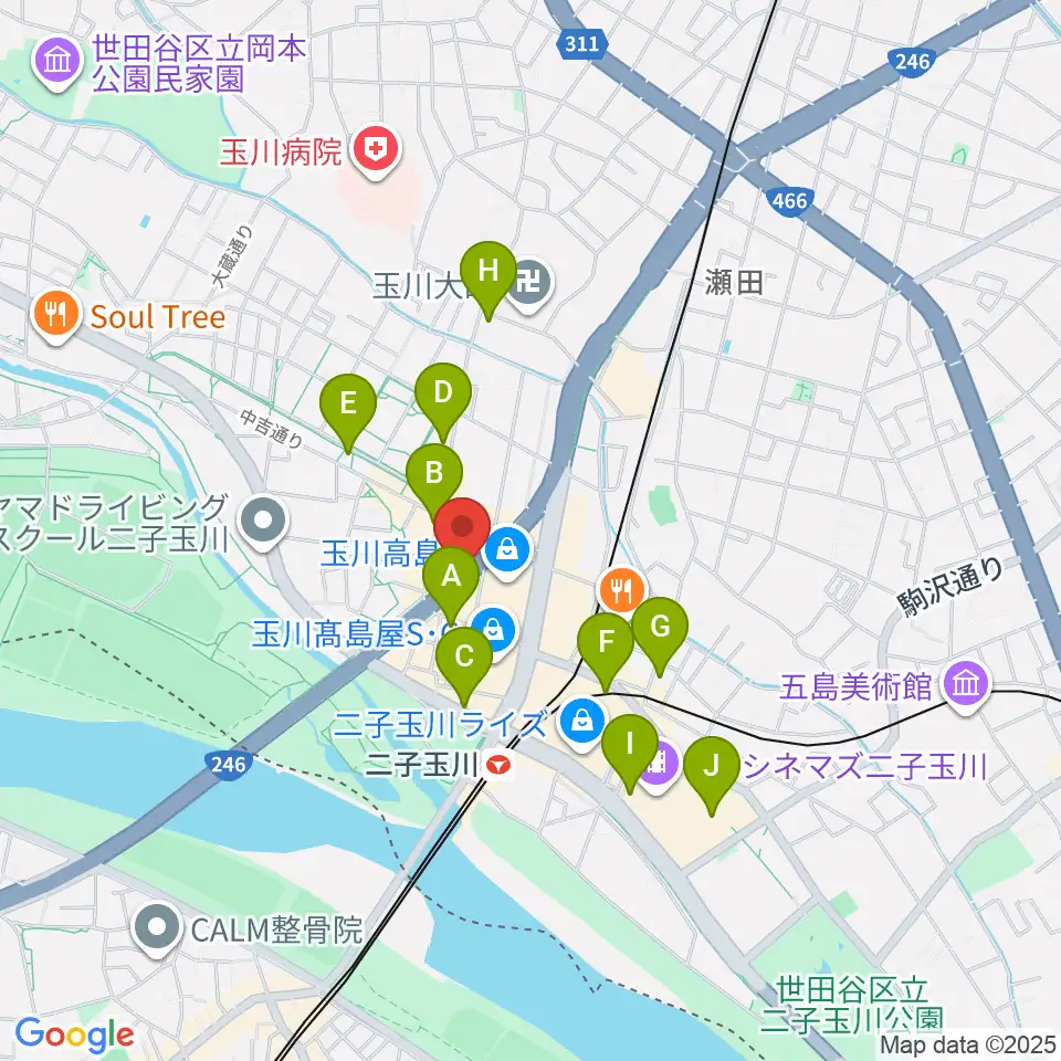 二子玉川アレーナホール周辺のコンビニエンスストア一覧地図